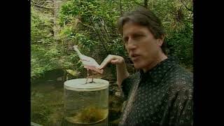 Svet Crtanja Brusa Blica - Epizoda 23