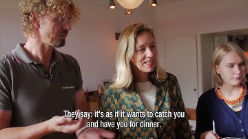 The Amsterdam School & the Stedelijk