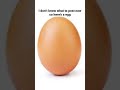 Egg Meme Meme 