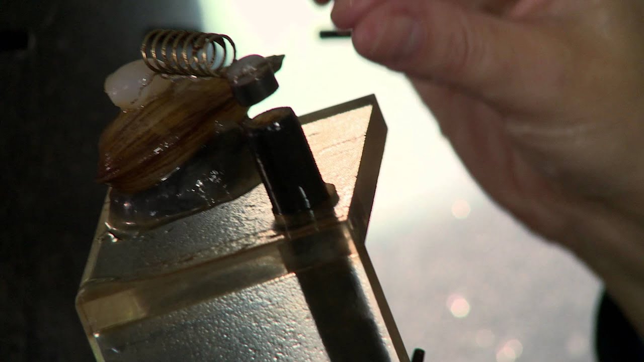 Jak działa miasto   - „Czysta woda  - Filtry"