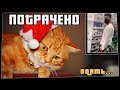 ПОТРАЧЕНО. Опять. Лучшие приколы 2020, смешные видео и фейлы