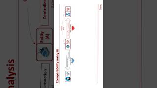 Celebrity Transfer pricing - comparability analysis Profile