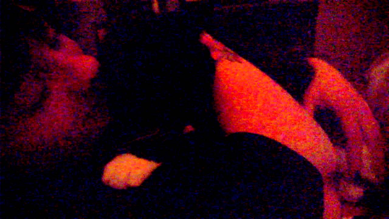 video phone beyonce mp3 Tuxedo Kitten says 