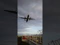 夕方の伊丹空港千里川堤防・DHC-8-400が上空を通過(2026/5/7・手振れ注意) #shorts #飛行機 #airport