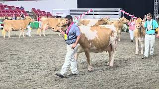 World Dairy Expo 2025