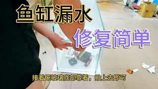 1200捡漏二手鱼缸漏水怎么办？一支玻璃胶就能修复，操作很简单