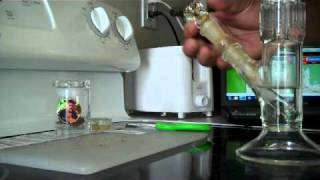 Long Beach Strain Review: Plat Trainwreck Kief& BlackBerry Kush