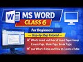 Microsoft Word Tutorial for Beginners | Class 6 in (pashto) what's insert and pages groups and Table