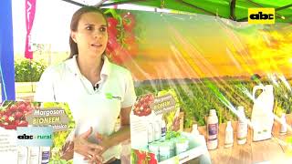 ABC RURAL: Advantages of using Neem in Agriculture were presented