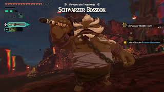 Hyrule Warriors: Chronik der Versiegelung - Zur Nordseite des Todesbergs