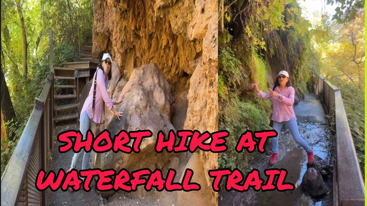 КОРОТКАЯ ПРОГУЛКА ПО ТРОПАМ К ВОДОПАДУ