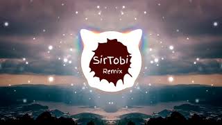 Die Flippers - Lotusblume (SirTobi Remix) Resimi