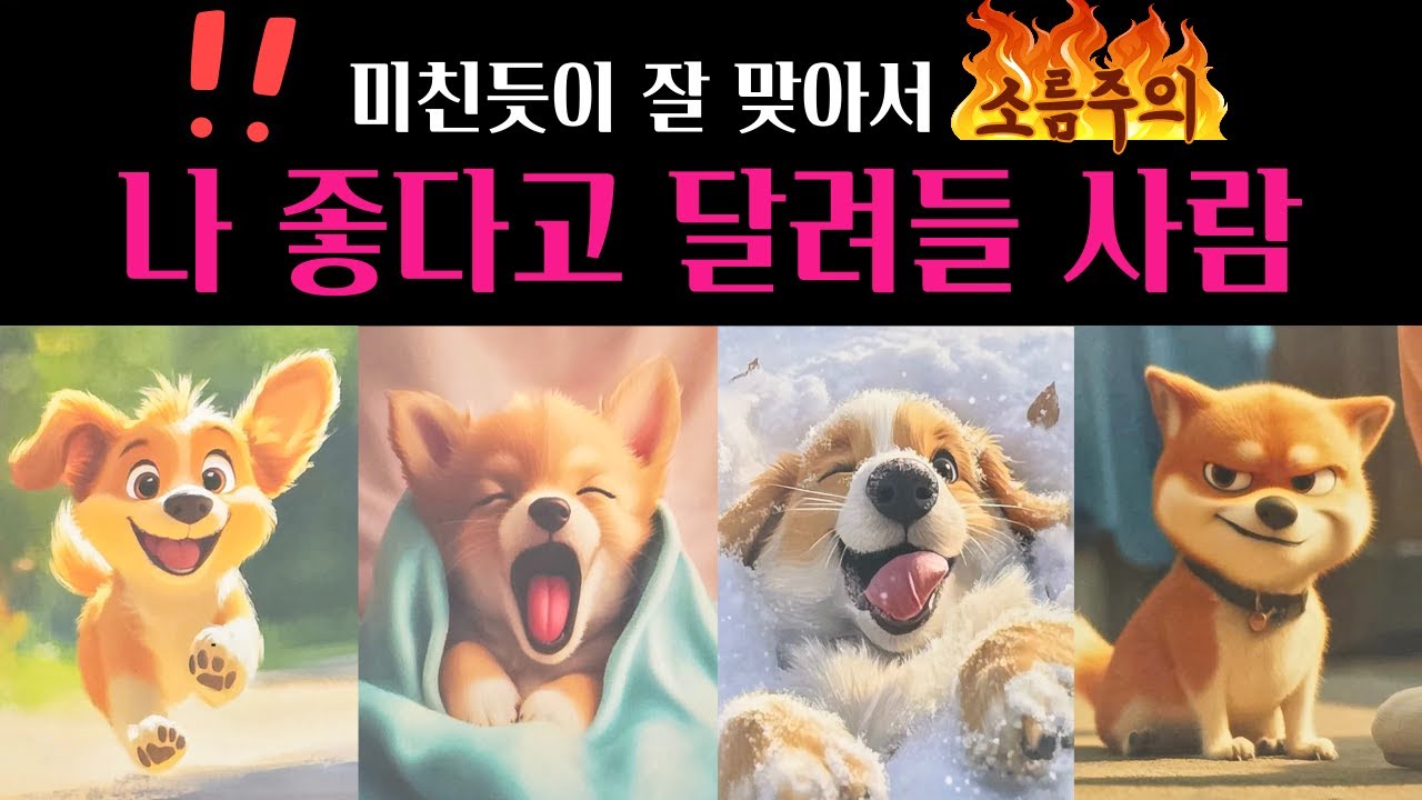 [타로] 🔥소름 적중 타로🌹한달안에 나 좋다고 달려들 그사람💗외모 성격 자세한 특징 알려드려요💖