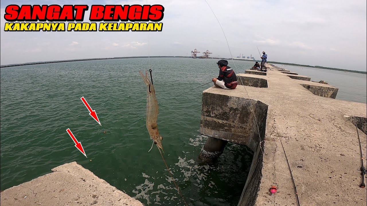 BENGIS DAN SADIS..!! KAKAP LAPAR UMPAN BARU TURUN PELAMPUNG HILANG DAM IJO