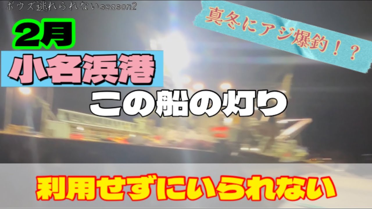 小名浜港、船の作業灯まわりでアジ爆釣を狙う！