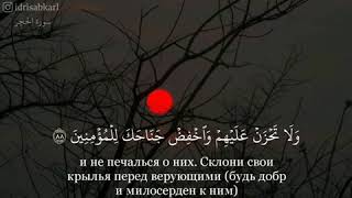 Чтец:Идрис Абкар Сура 15 Аль-Хиджр  аяты 88-99 Красивое чтение Кур'ана!