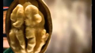 Салам Тиролски