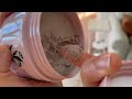 SHAZ & KIKS Clay Scrub Shampoo Review – Is This Scalp Detox Worth It?