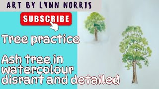 Tree practice, how to paint an ash tree in the distance and in the foreground in Watercolour