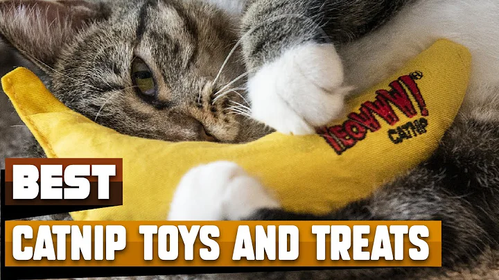 Best Catnip Toys and Treat In 2025 - Top 10 Catnip Toys and Treats Review
