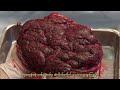 Examining the Placenta (Burmese) - Childbirth Series