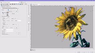 Adding Transparency to an Image in Production Manager of Flexi screenshot 5