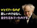 夕方、ひとりの時間が怖くなるあなたへ｜ショーペンハウアーが語る「孤独という名の自由」