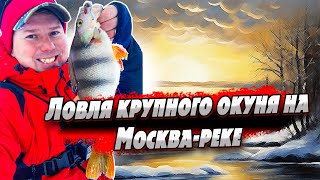 Как и где поймать крупного окуня на реке зимой? | Ловля на Каролину | Джиг Риг | Микроджиг