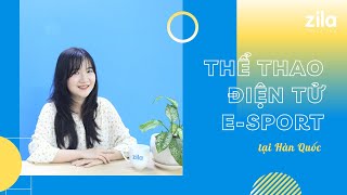 Độ HOT của Thể thao điện tử E-Sport tại Hàn Quốc?  - Du học Hàn Quốc cùng Zila (Vietsub/Korsub)