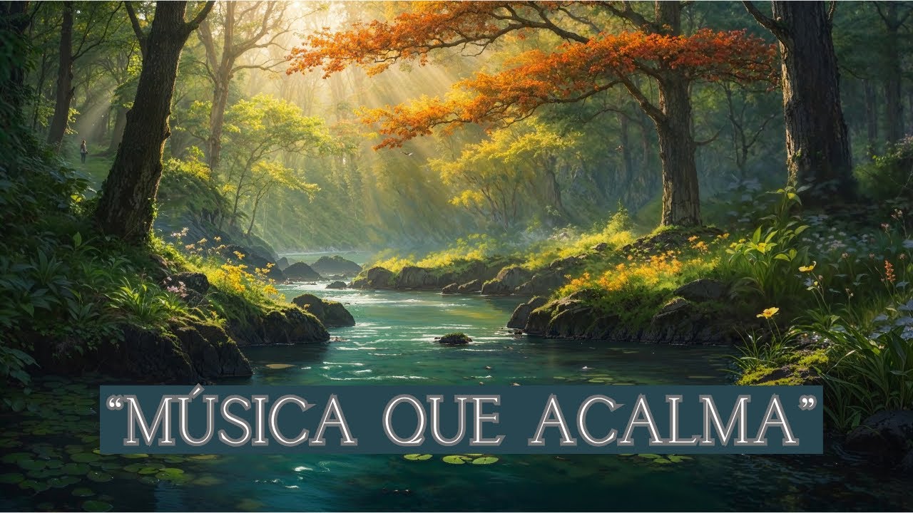 Descubra como relaxar a mente em 5 minutos - Música para Aliviar ...