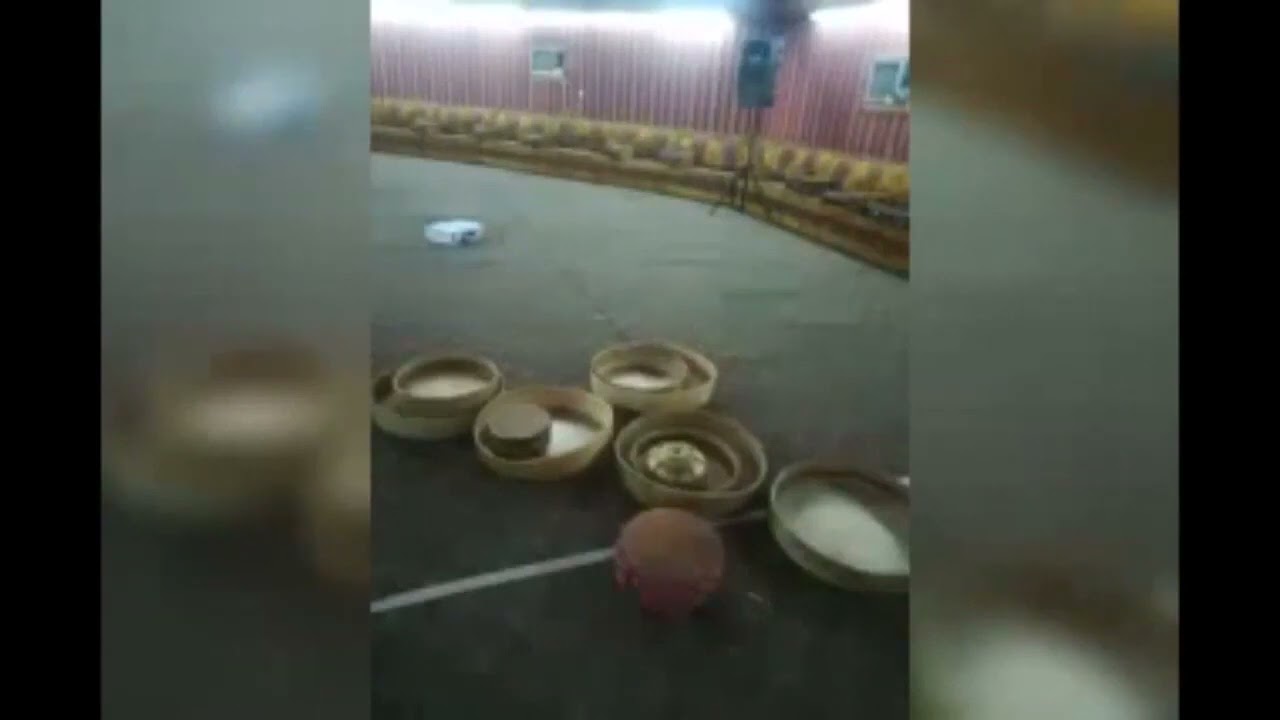 قادري سواحلي 