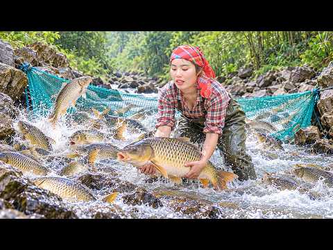 Searching for Massive Schools of Giant Fish in Rushing Streams- Fishing with Chuc Duong and Children