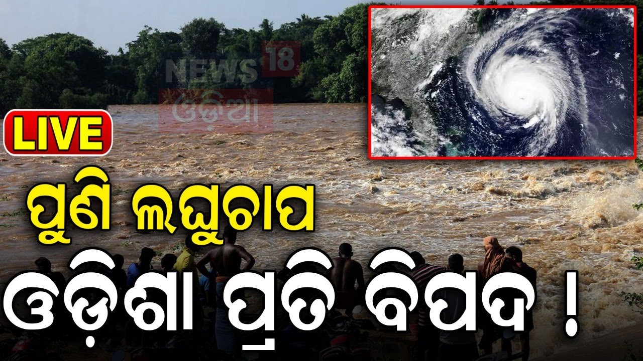 Odisha Weather Update Live: ପୁଣି ସୃଷ୍ଟି ହେବ ଲଘୁଚାପ ! Low Pressure Alert | Odisha Rain |Odia News