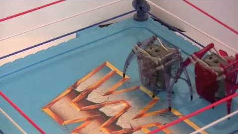 MillionairePlayboy.com Podcast Hexbug: Inchworm