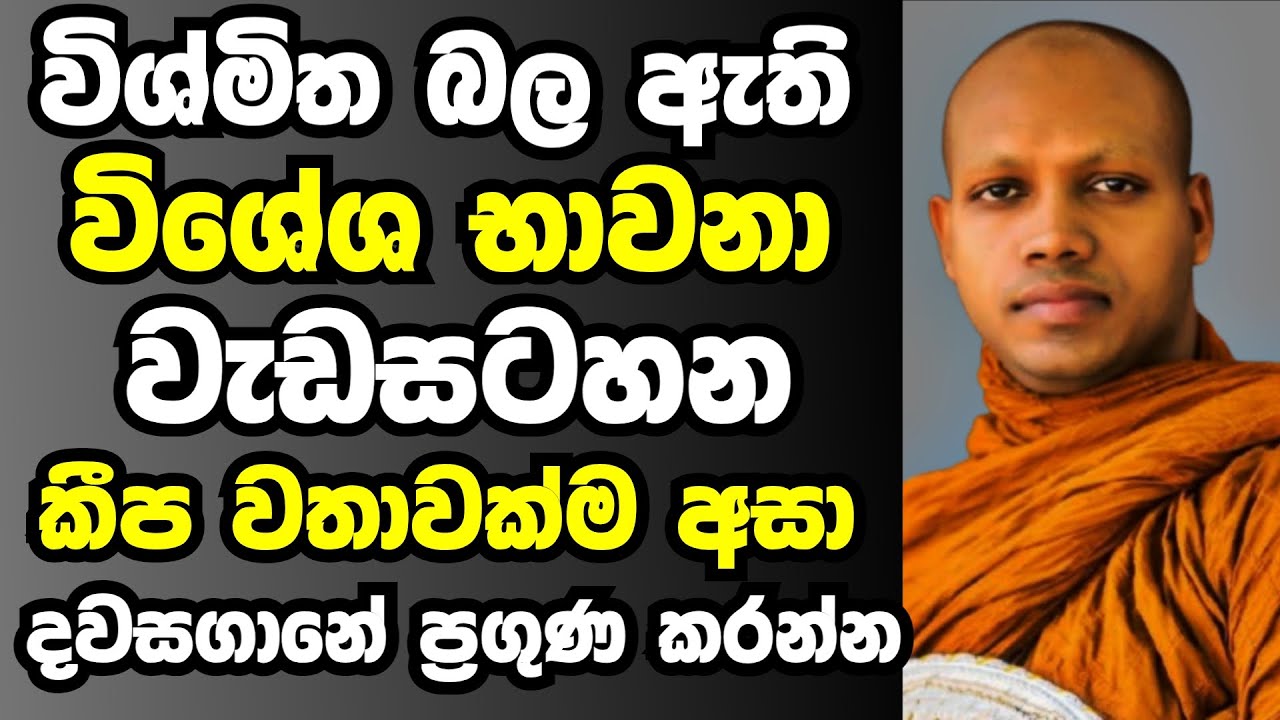 විශ්මිත බල ඇති විශේශ භාවනා වැඩසහටන අනිවාරයෙන් පුරුදු කරන්න   | Ven hasalaka seelawimala thero bana