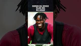 Nerde Bu Singo? Öldü Mü Bu Adam?