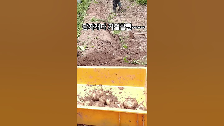 지렁이  때문에 오늘 기절할뻔~~~#감자캐기 #텃밭 #ㅋㅋㅋ  #지렁이