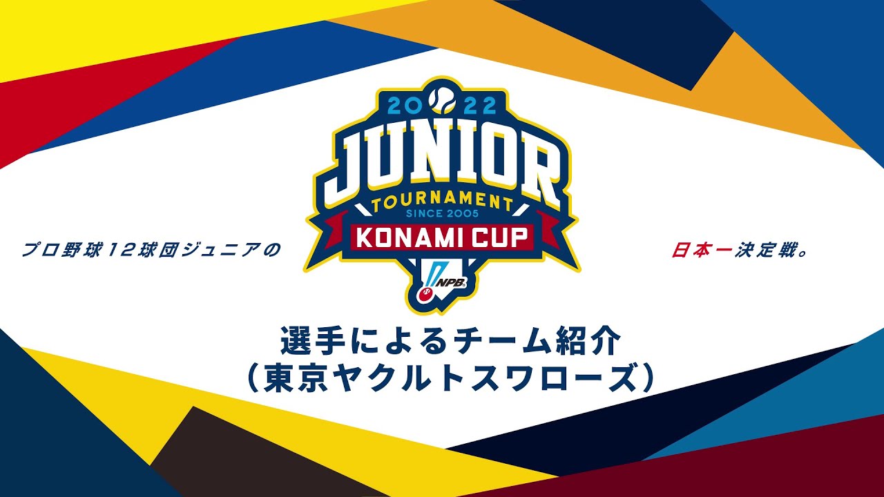 NPB フルスイング ワッペン セット 12球団