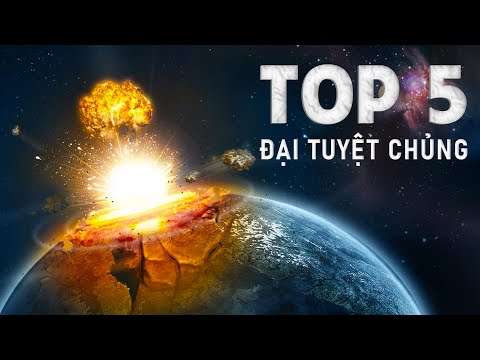 Video: Tại sao Ammonite tuyệt chủng?