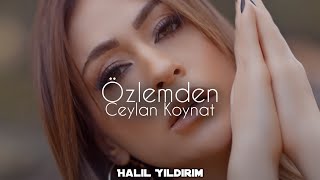 Ceylan Koynat - Özlemden ( Halil Yıldırım Remix ) Resimi