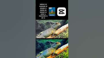 CapCut Colour Grading Tutorial#vn#shorts