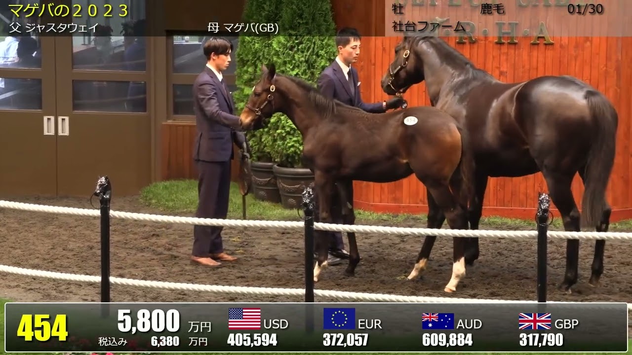 セレクトセール2023 2日目当歳 上場番号451～480 - YouTube