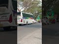 BUS SINAR JAYA 19 VX Melintas di jalan Dukuh Salam SLawi