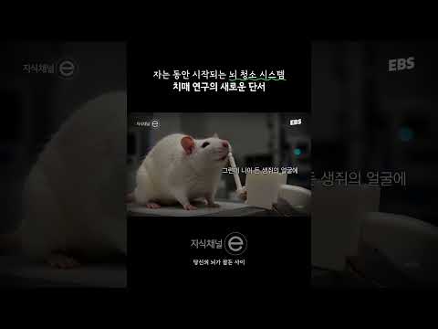 이제 충분한 잠과 <strong>미소로</strong> 물리쳐보자! | 풀영상은 @ebs_jisike  #지식채널 #치매 #뇌
