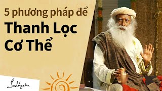 5 Lời Khuyên Giúp Thanh Lọc Cơ Thể | Sadhguru Tiếng Việt