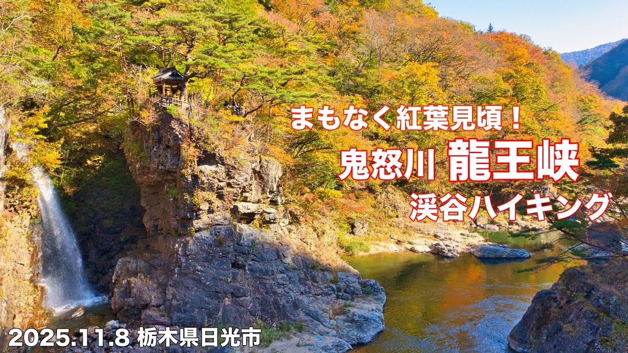 【紅葉2025】4K まもなく紅葉見頃！鬼怒川 龍王峡 渓谷ハイキング！栃木県日光市