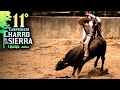 Adictos al Peligro - Jineteo de Toro -  Adrenalina 100 - 11vo Campeonato de la Sierra 2024 - dia 16