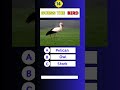 Guess The Bird🐦🕵️|Part 14 #triviachallenge #mindbendingquiz #americanquiz #genralknowledge