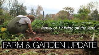 When a Mom of 10 gets Burnt Out & GARDEN FARM UPDATE