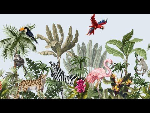 Vídeo: Diferencia Entre Flora Y Fauna